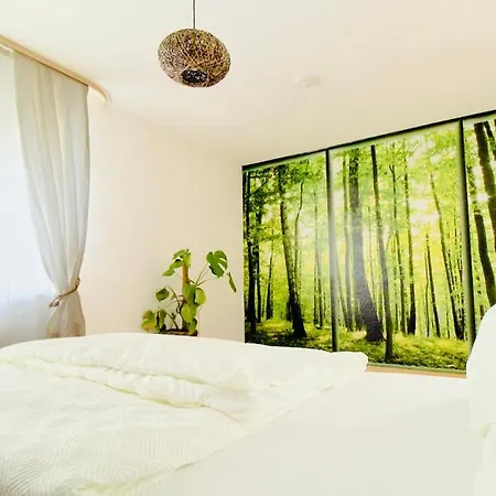 Zentrale Wohlfuehloase Dresde